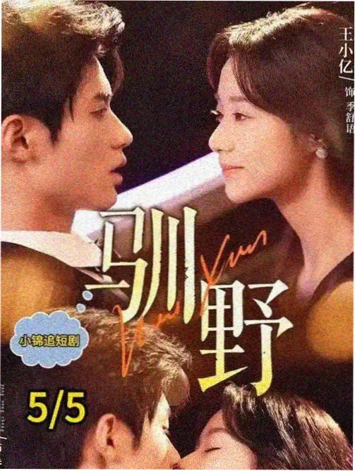 国产91精品久久久 91剧集